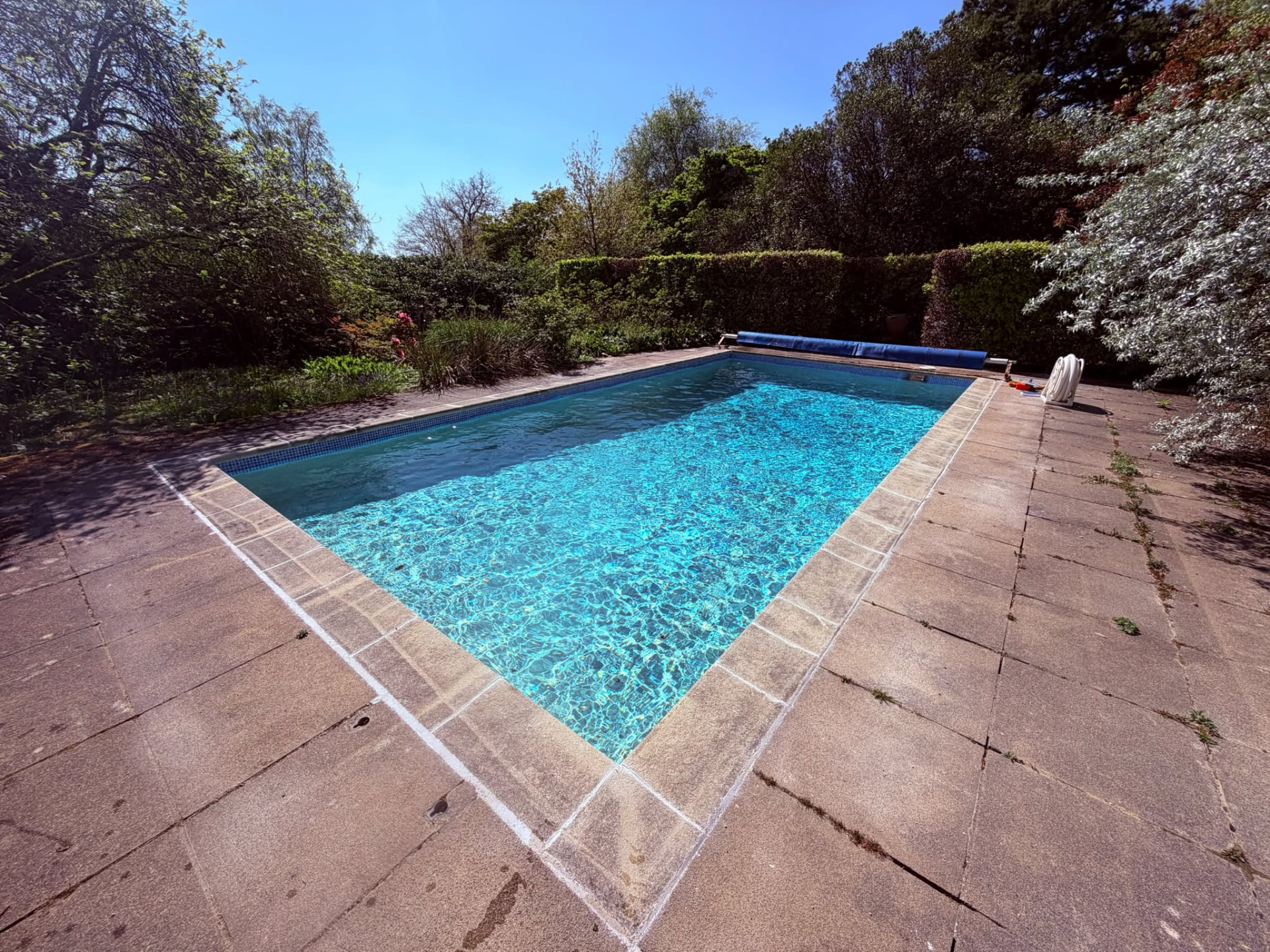 Clear outdoor garden swimming pool with paving and hedges